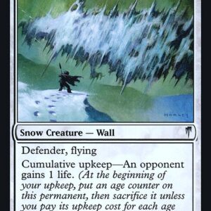 Wall of Shards (PLST #CSP-23, NM, foil, EN)