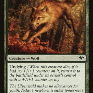 Young Wolf (DKA #134, NM, nonfoil, EN)
