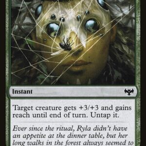 Witch's Web (VOW #227, NM, nonfoil, EN)