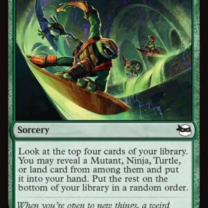 Cowabunga! (TMT #113, NM, nonfoil, EN)