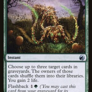 Turn the Earth (MID #205, NM, nonfoil, EN)