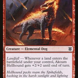 Akoum Hellhound (ZNR #133, NM, nonfoil, EN)