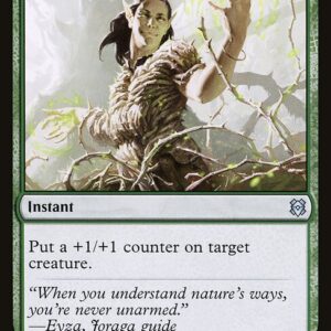 Vastwood Fortification // Vastwood Thicket (ZNR #216, NM, foil, EN)