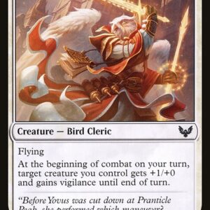 Combat Professor (STX #11, NM, nonfoil, EN)