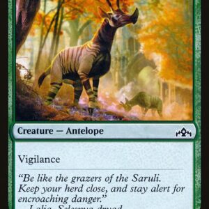 Wary Okapi (GRN #149, NM, nonfoil, EN)