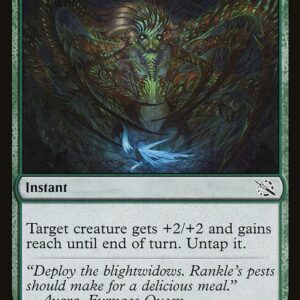 Arachnoid Adaptation (MOM #175, NM, nonfoil, EN)
