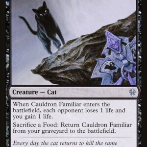 Cauldron Familiar (ELD #81, NM, nonfoil, EN)