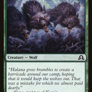 Thornhide Wolves (SOI #232, NM, nonfoil, EN)