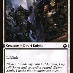 Steadfast Paladin (AFR #38, NM, nonfoil, EN)