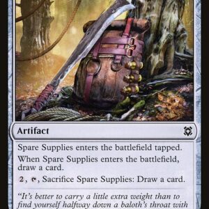 Spare Supplies (ZNR #254, NM, nonfoil, EN)