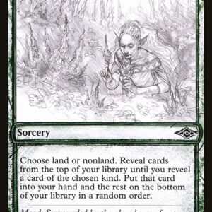 Abundant Harvest (MH2 #354, NM, nonfoil, EN)