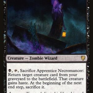 Apprentice Necromancer (C17 #97, NM, nonfoil, EN)