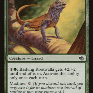 Basking Rootwalla (DDD #2, NM, nonfoil, EN)