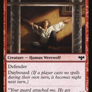 Weary Prisoner // Wrathful Jailbreaker (VOW #184, NM, nonfoil, EN)
