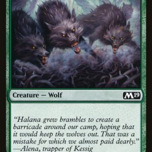 Thornhide Wolves (M19 #204, NM, nonfoil, EN)